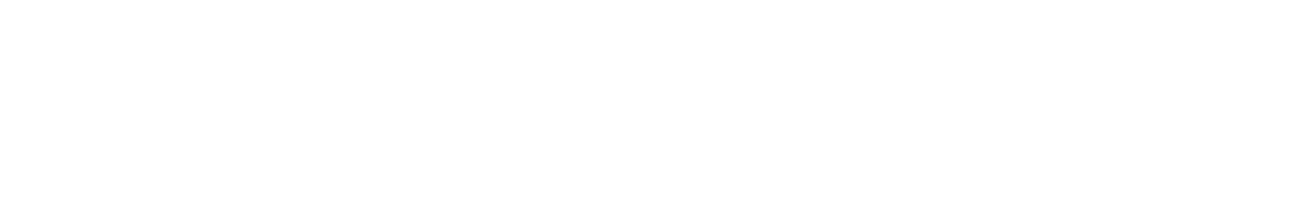 Advantage logo