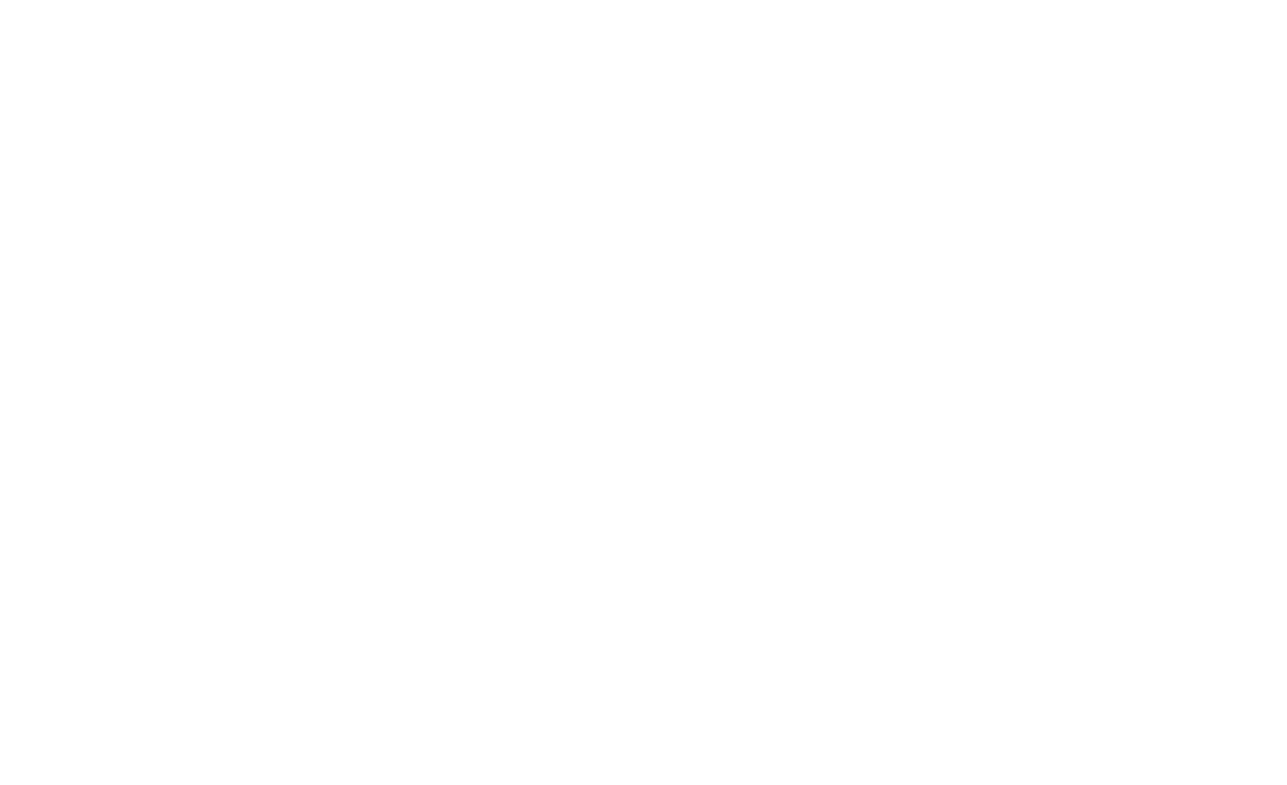 Spider Network logo